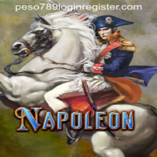 Understanding Napoleon: An Immersive Card Game Experience